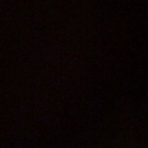 Meet your Posher, Niki